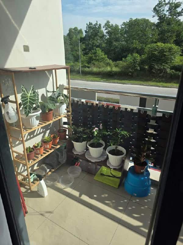 Service Apartment Kempas 7