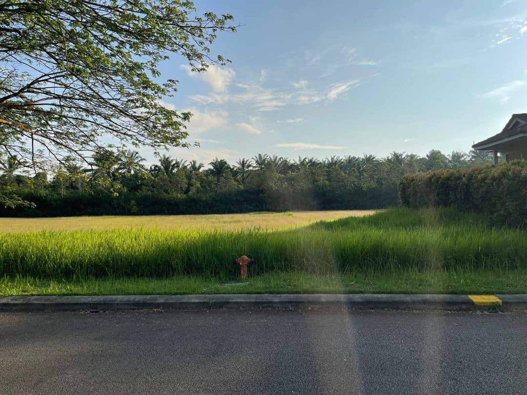 Bungalow Land Polo View