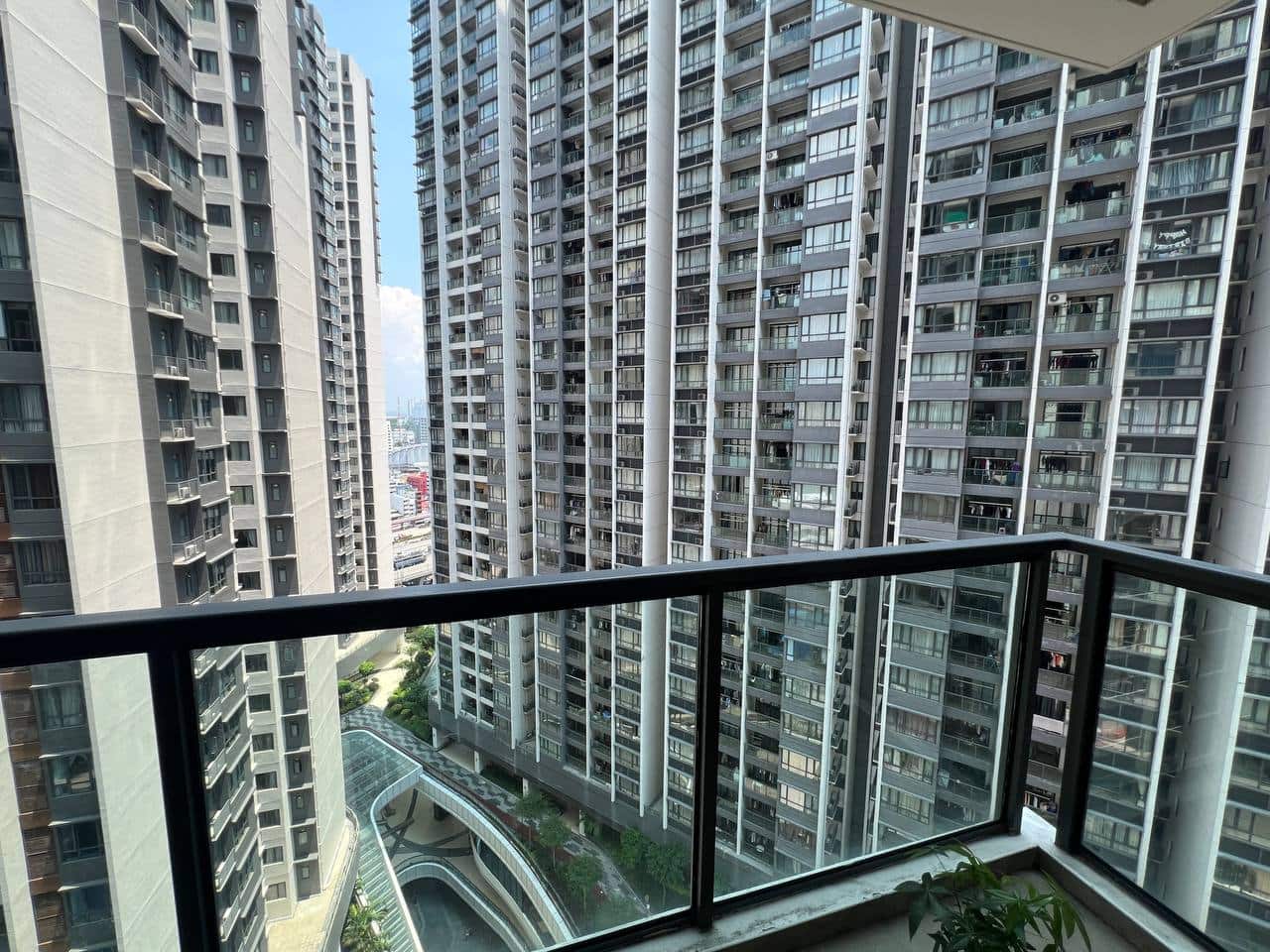 Type I R&F Princess Cove Phase 1 2