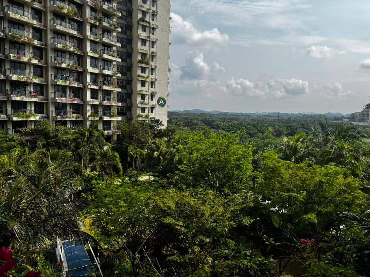 Ataraxia Park 3 Forest City 5