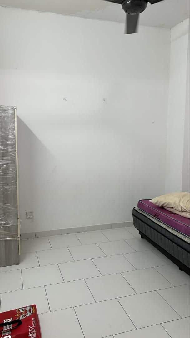 1.5 Storey Laman Setia 5 7