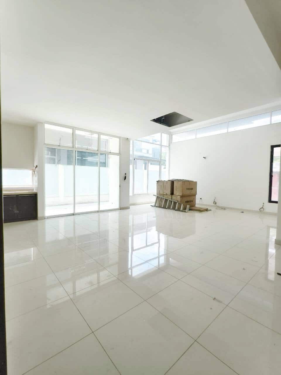 Double Storey Semi-Detached Aster @ Seri Austin 3