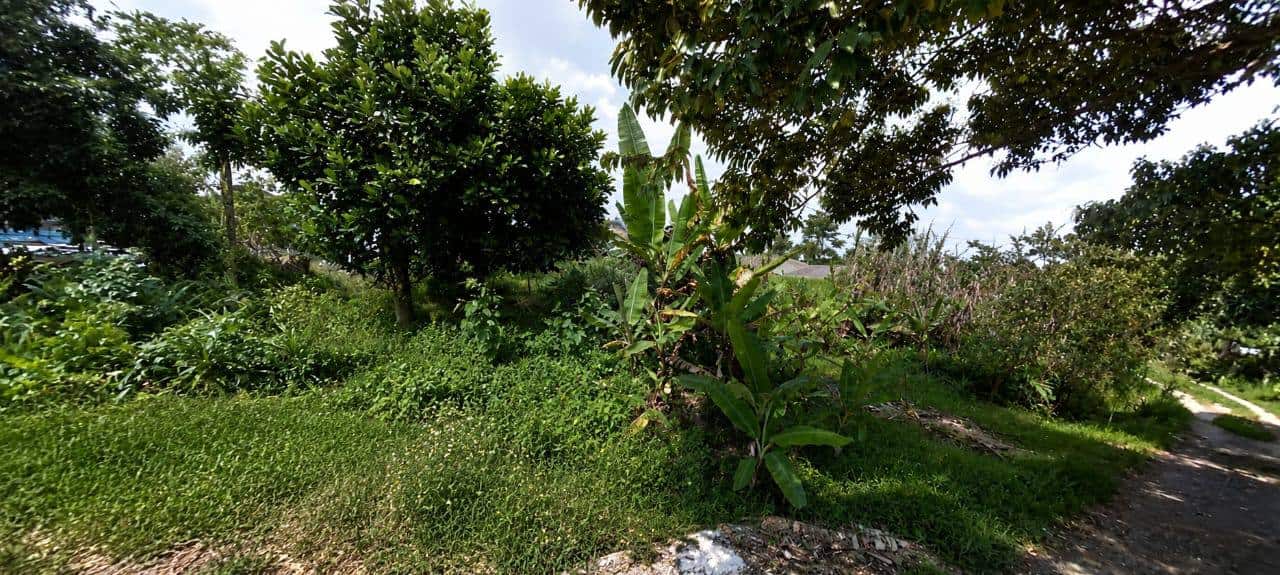 Double Storey Terrace House Setia Indah 7 7