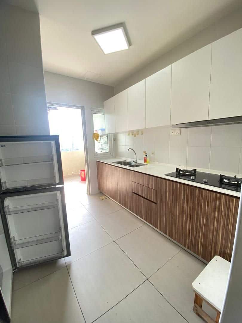 Condo Seasons Amara Larkin 6