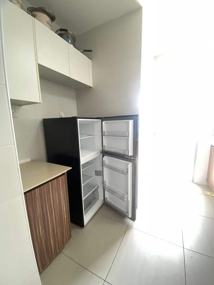 Condo Seasons Amara Larkin 7