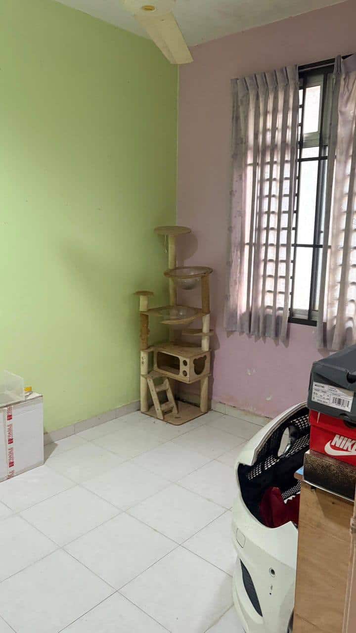 Single Storey Terrace House JP Perdana 4
