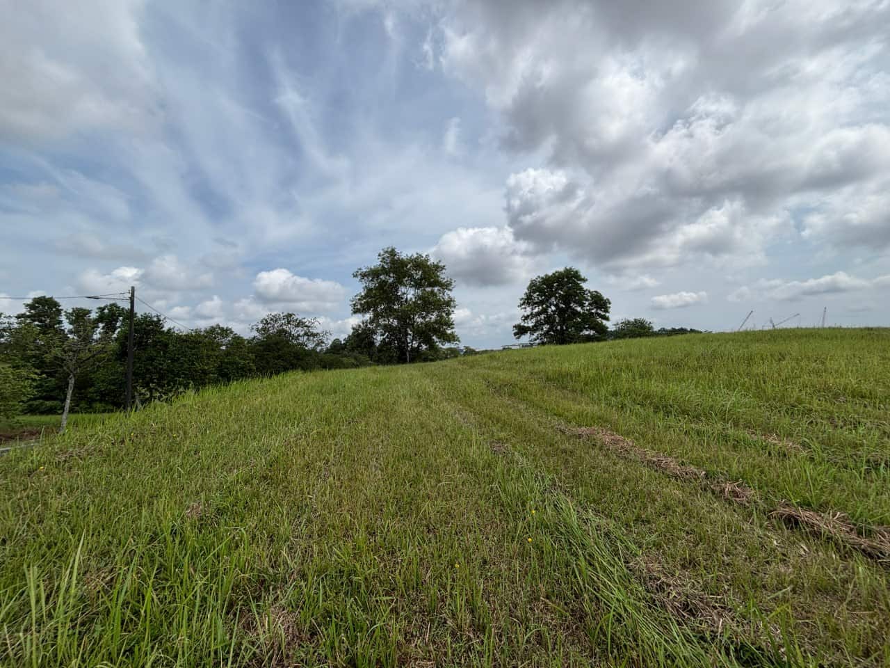 Land Leisure Farm 4