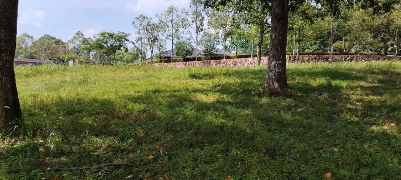Residential Land Bayou Grove, Leisure Farm 2