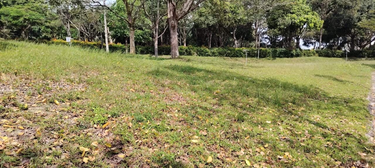 Residential Land Bayou Grove, Leisure Farm 4