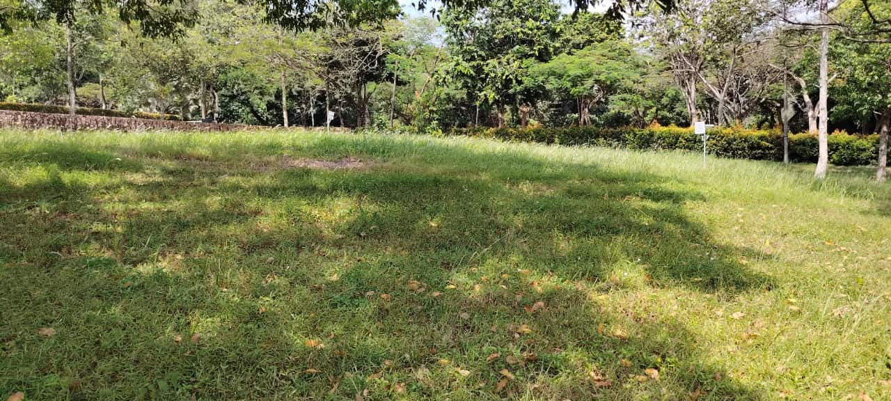 Residential Land Bayou Grove, Leisure Farm 3