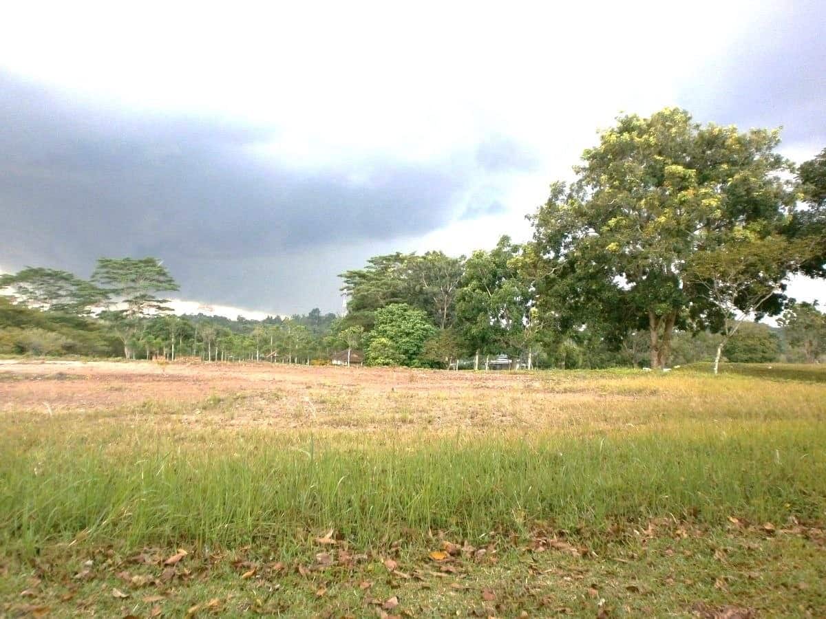 Residential Land Palm Grove Leisure Farm 4