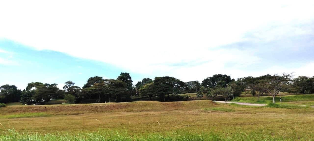 Residential Land Palm Grove Leisure Farm 2