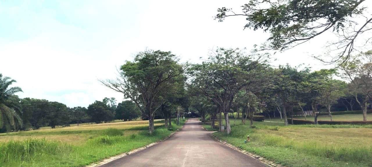 Residential Land Palm Grove Leisure Farm 1