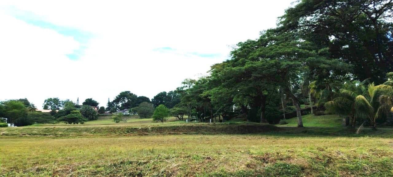 Residential Land Palm Grove Leisure Farm 3