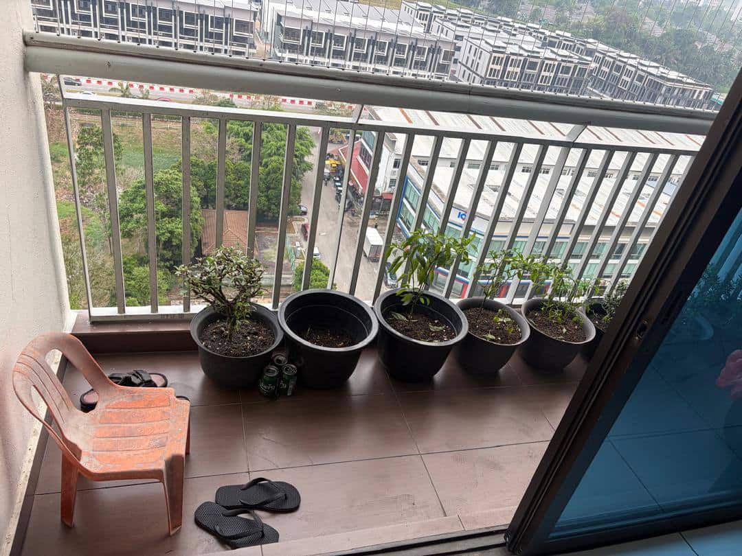 For Sale *Limited Stock*(CH2509)

Sky Garden @ Set… 4