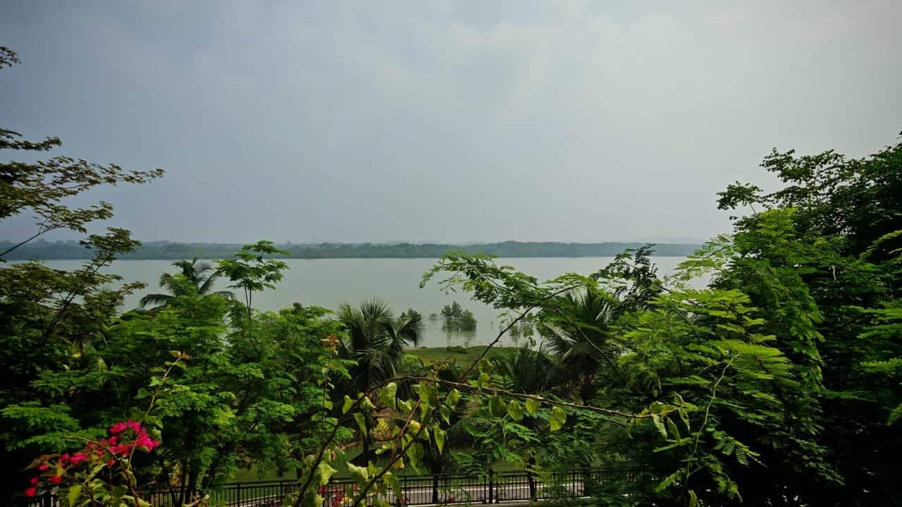 For Sell (SP2910505)
Starview Bay Forest City


★1… 7