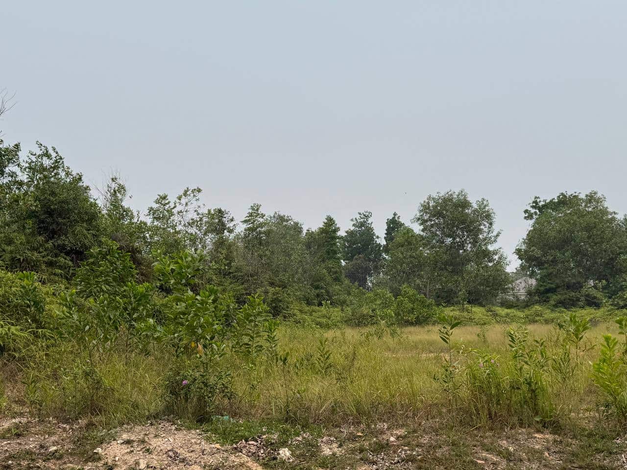 Residential land Taman Saujana Johor Bahru 2