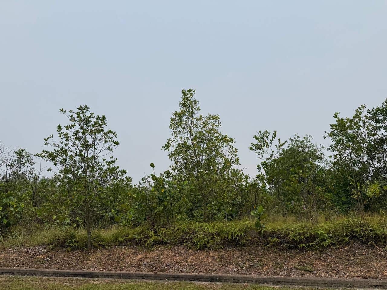 Residential land Taman Saujana Johor Bahru 4