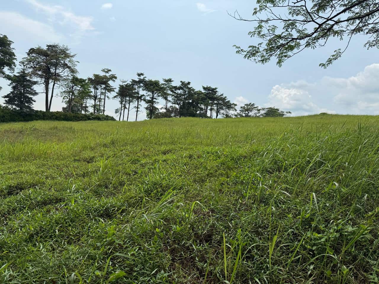 Bungalow Land Leisure Farm Iskandar Puteri 4