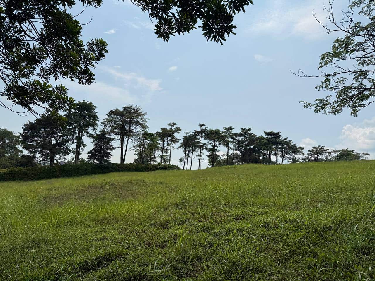 Bungalow Land Leisure Farm Iskandar Puteri 3