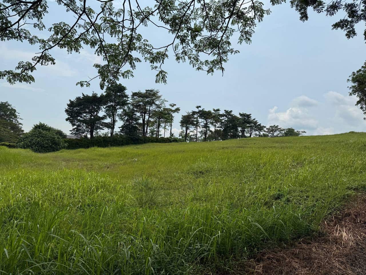Bungalow Land Leisure Farm Iskandar Puteri 5