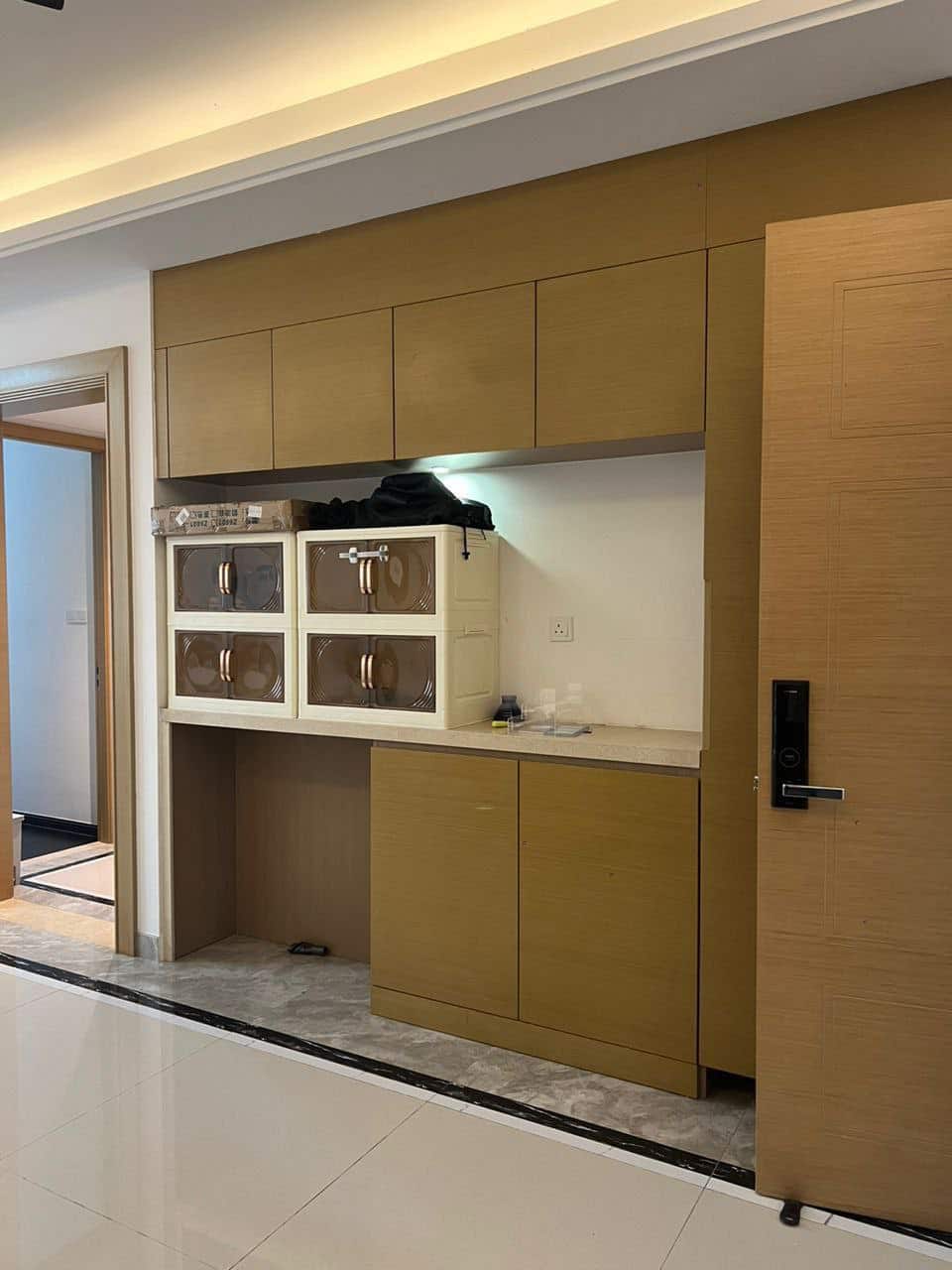Condo R&F Princess Cove 7