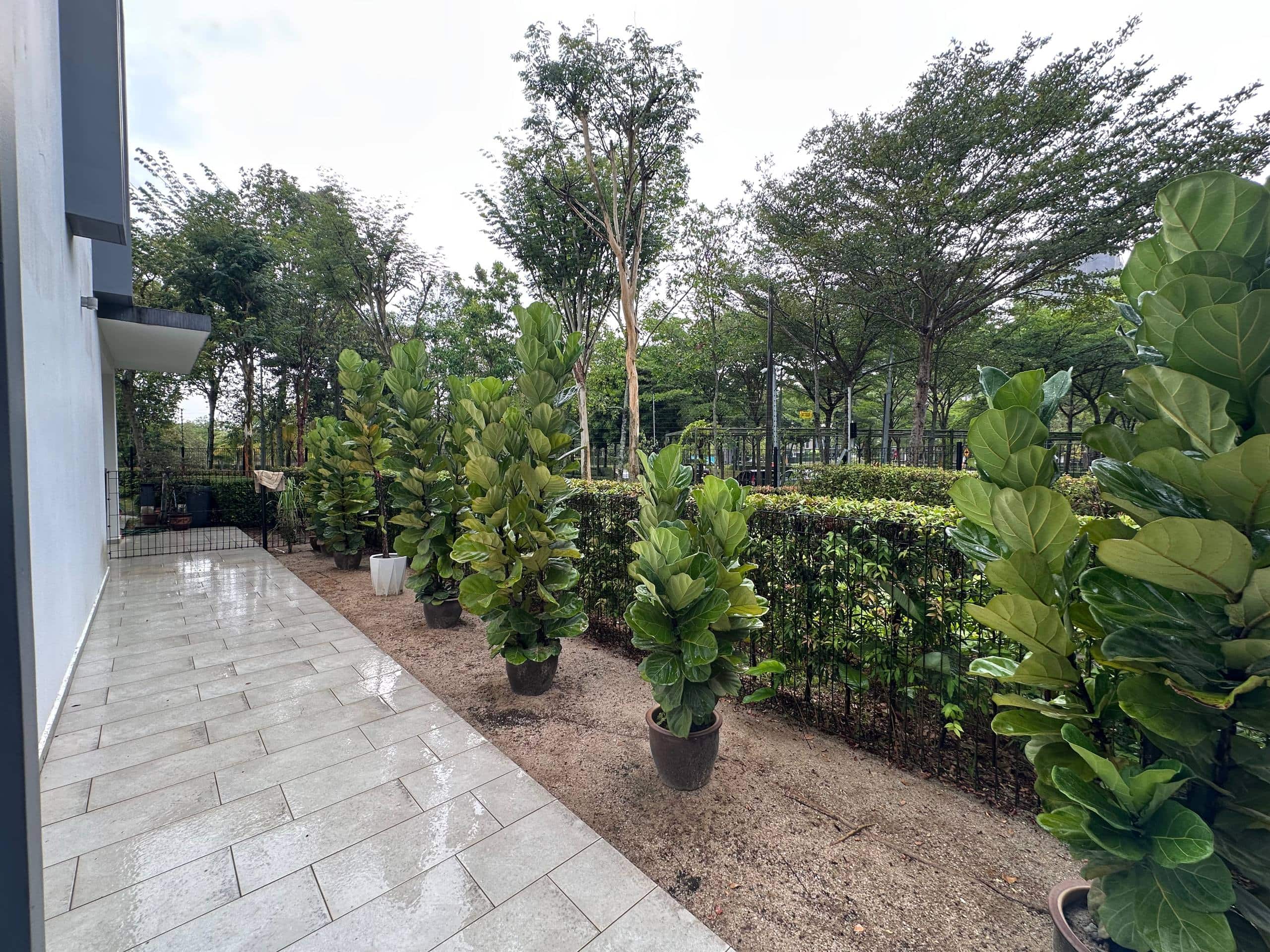 Double Storey Terrace Corner Lot Lagoon Residences (Senibong Cove) 5