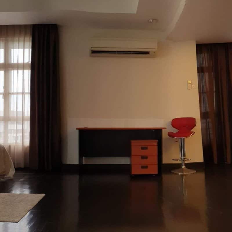Penthouse double storey WTL Straits View 7