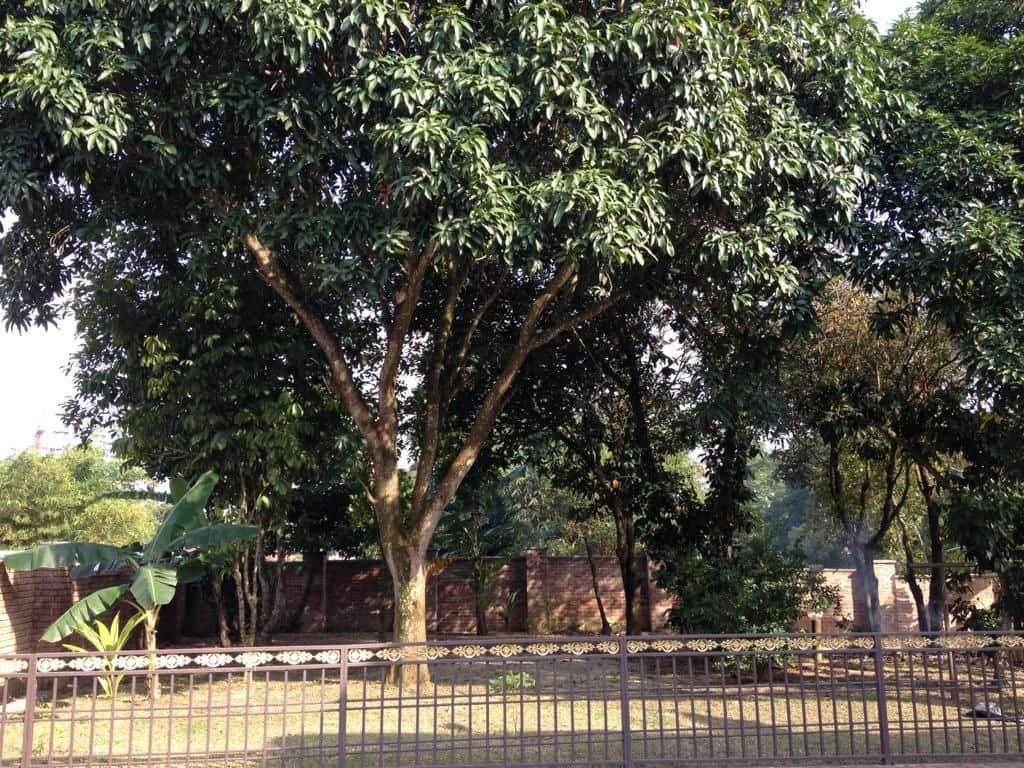 2-Storey Bungalow Jalan Straits View 3 6