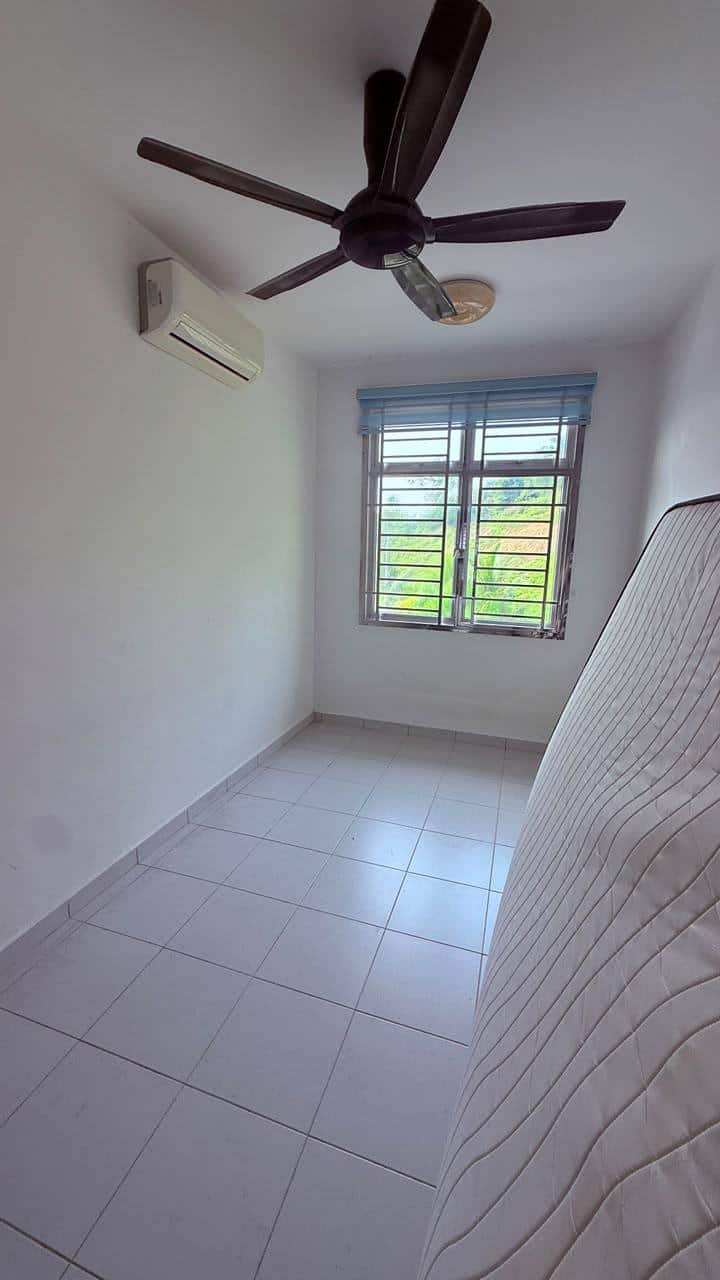 Pulai Mutiara 7