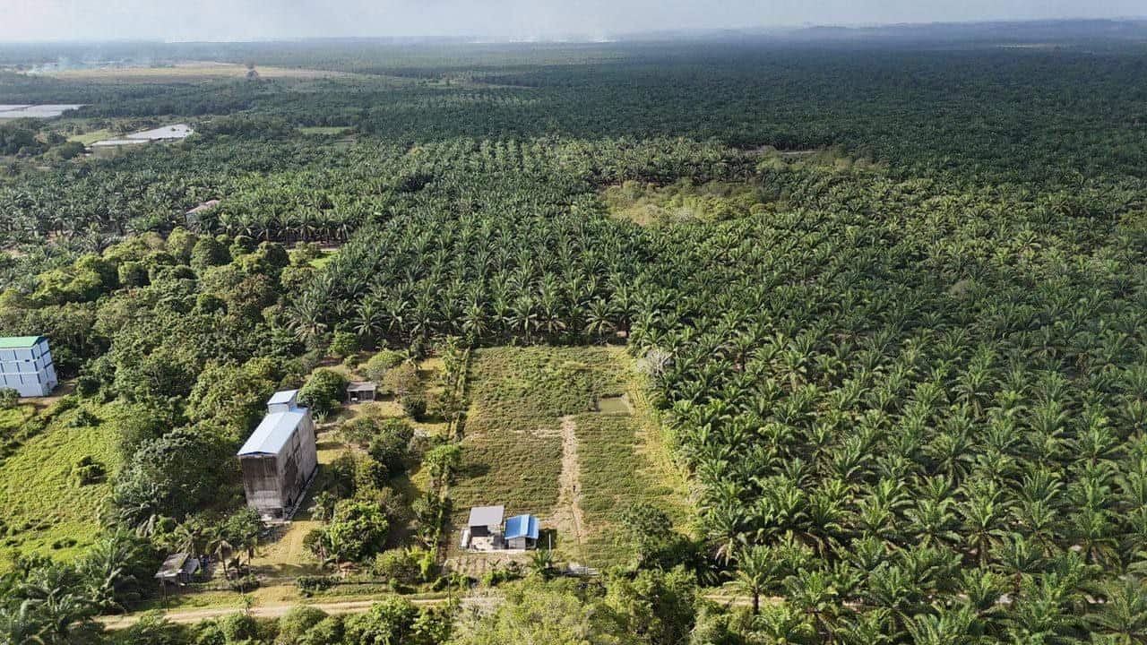 Agricultural Land Kota Tinggi Sedili Besar 2