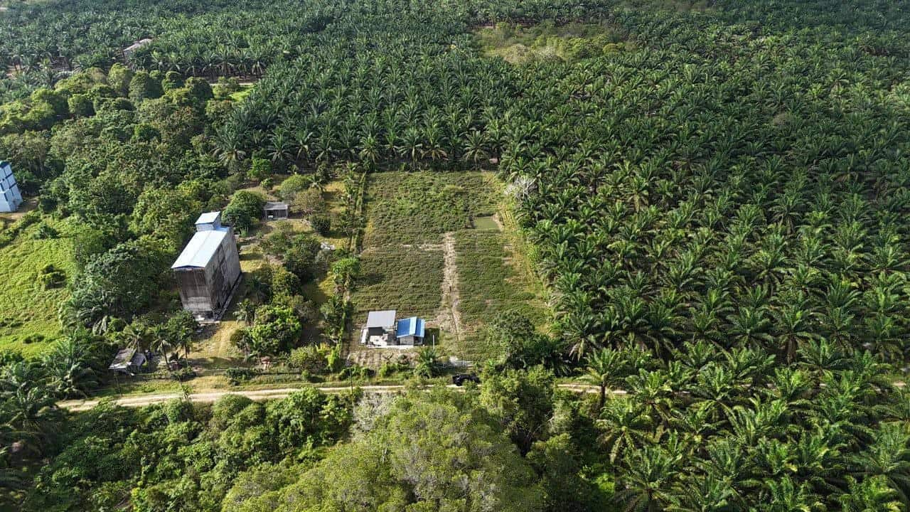 Agricultural Land Kota Tinggi Sedili Besar 3