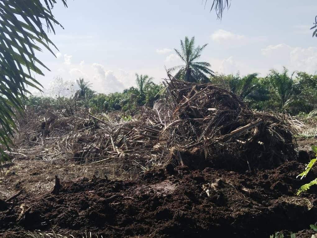 Agriculture Land Mukim Ayer Baloi 5