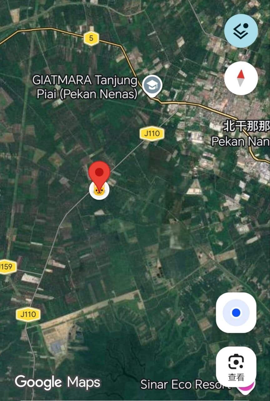 Agriculture Land Pontian 3