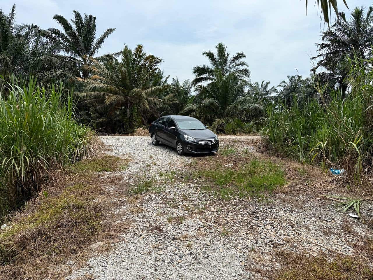 Agriculture Land Pontian Penerok 3