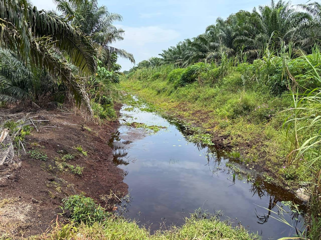 Agriculture Land Pontian Penerok 7