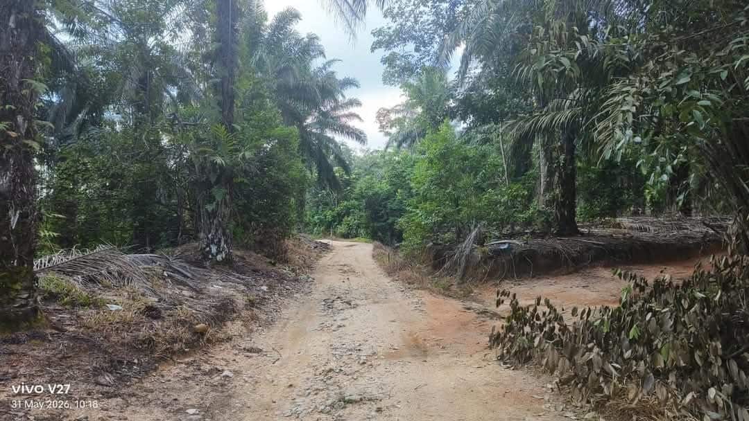 Agriculture Land Plentong 4