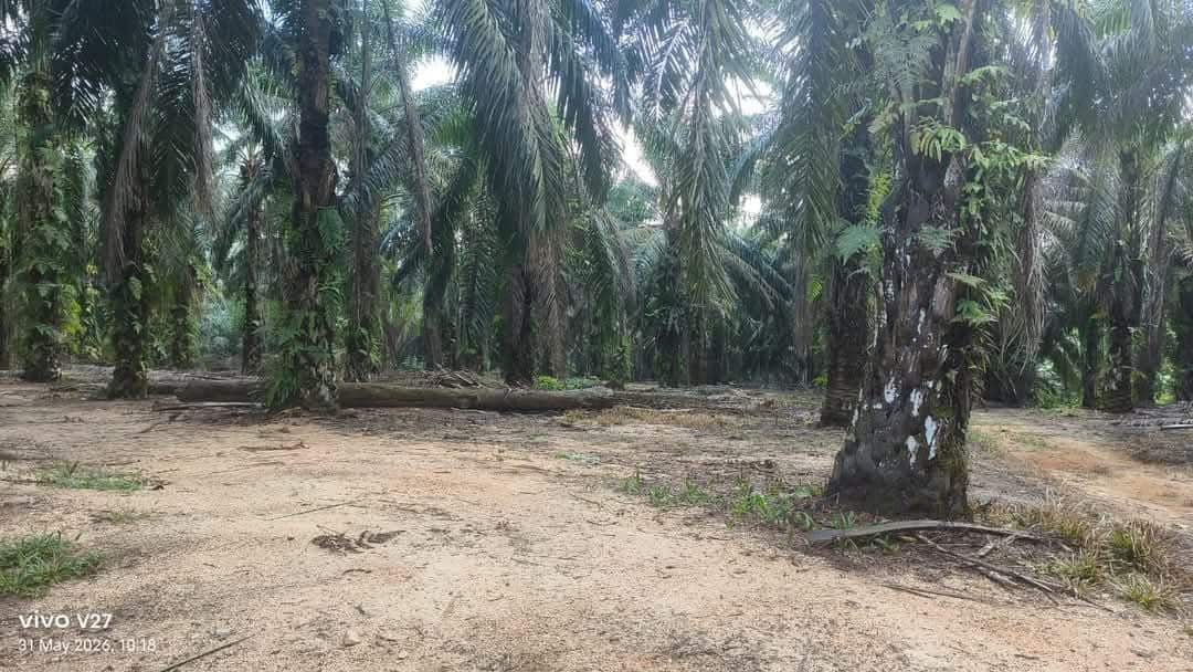 Agriculture Land Plentong 6