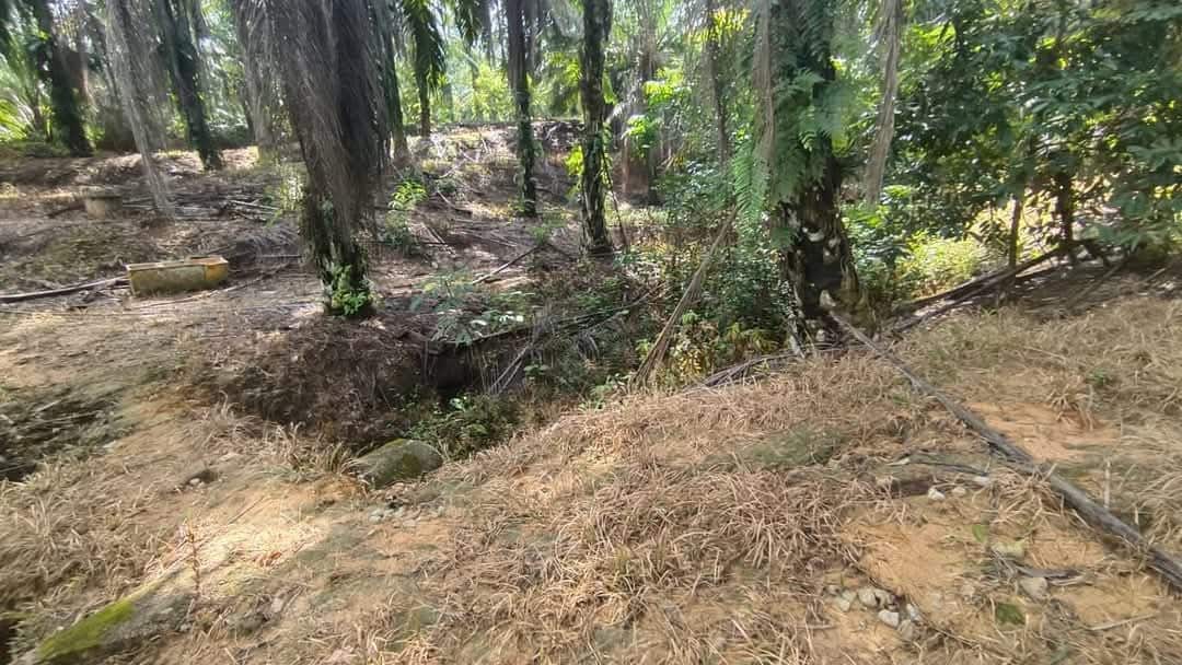 Agriculture Land Plentong 7