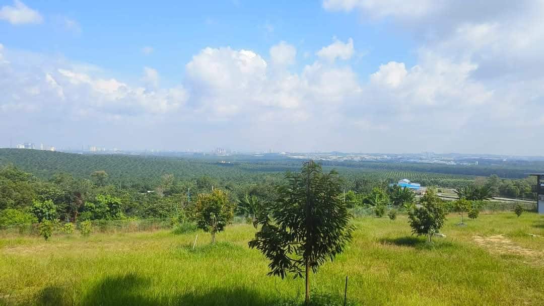 Agriculture Land Plentong 1