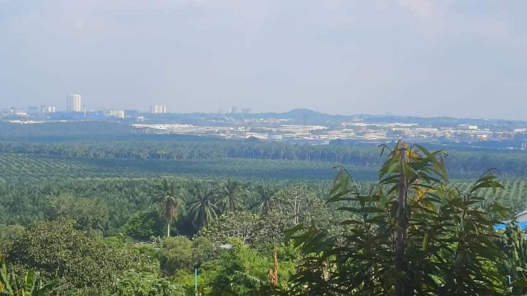 Agriculture Land Plentong 2
