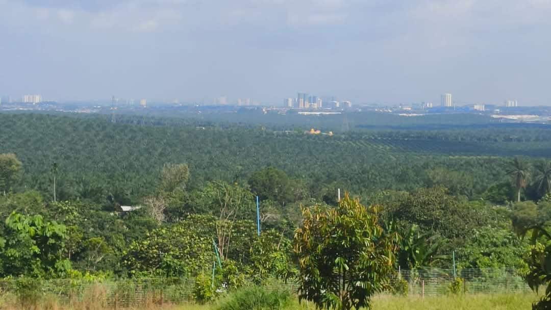 Agriculture Land Plentong 3