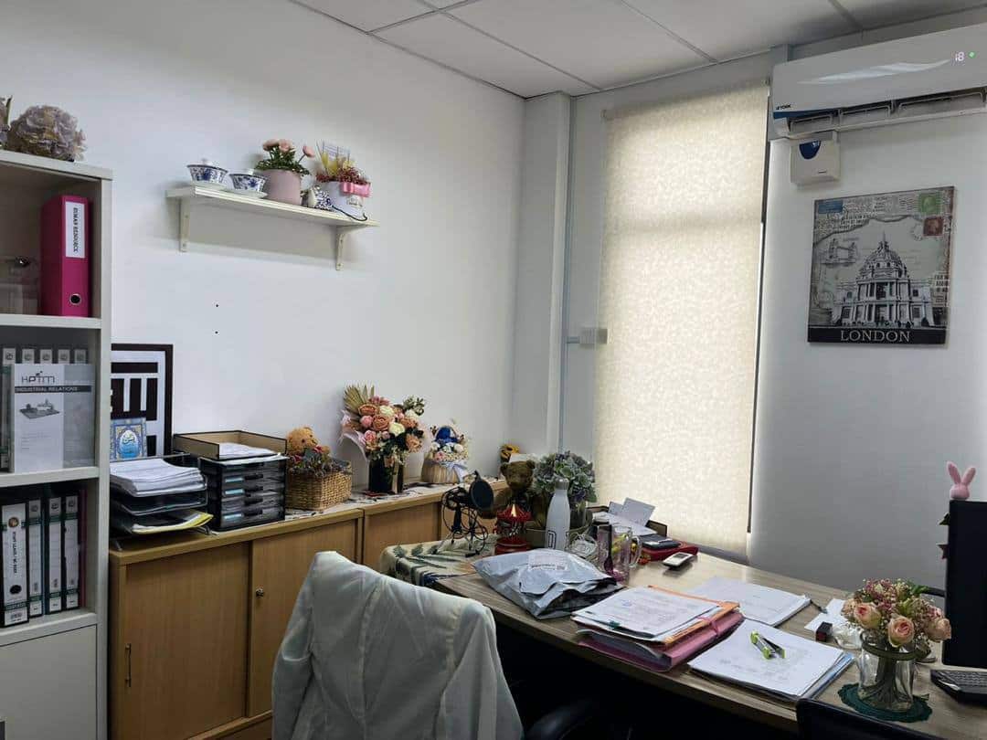 Commercial Lot ECO PALLADIUM JB 5