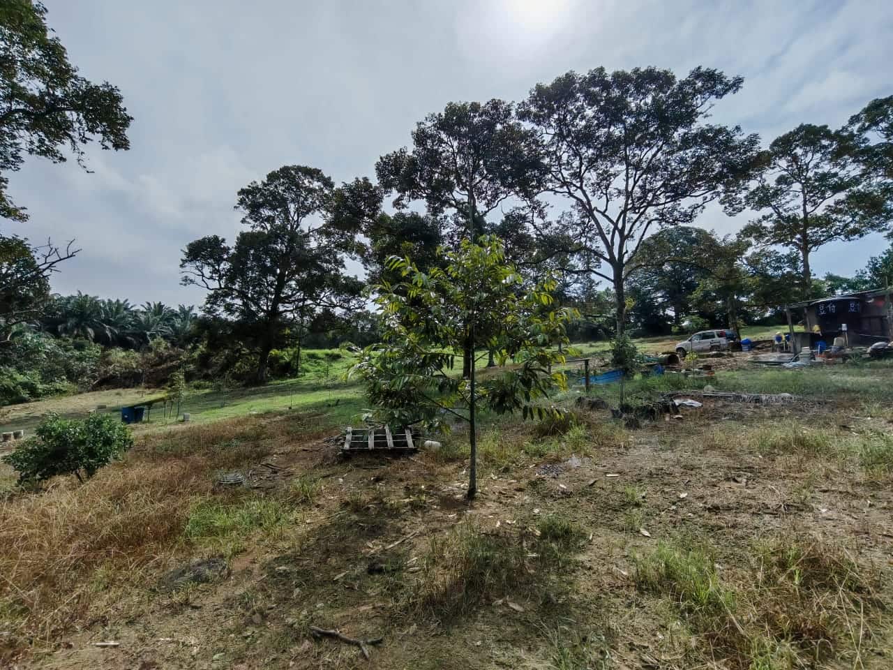 Agricultural Land Kangkar Pulai 2