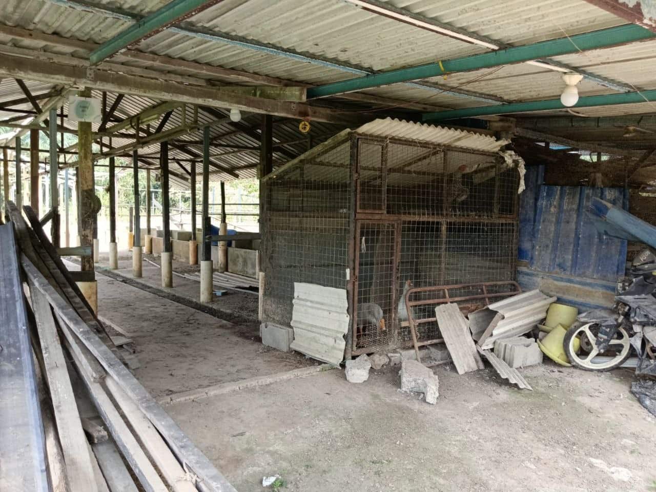 Agriculture Land Sungai Tiram 9