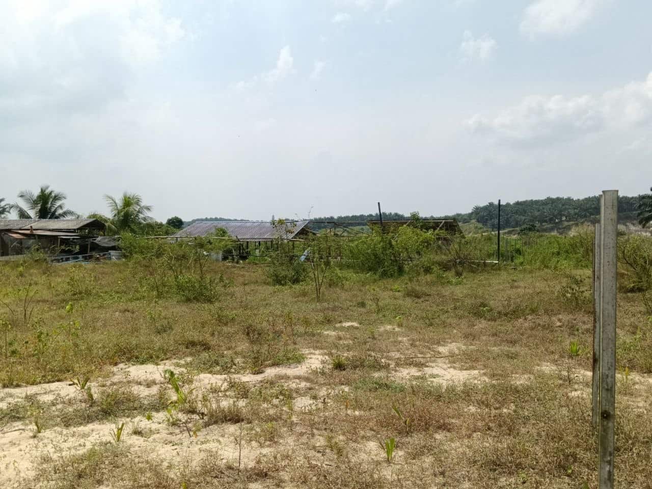Agriculture Land Sungai Tiram 6
