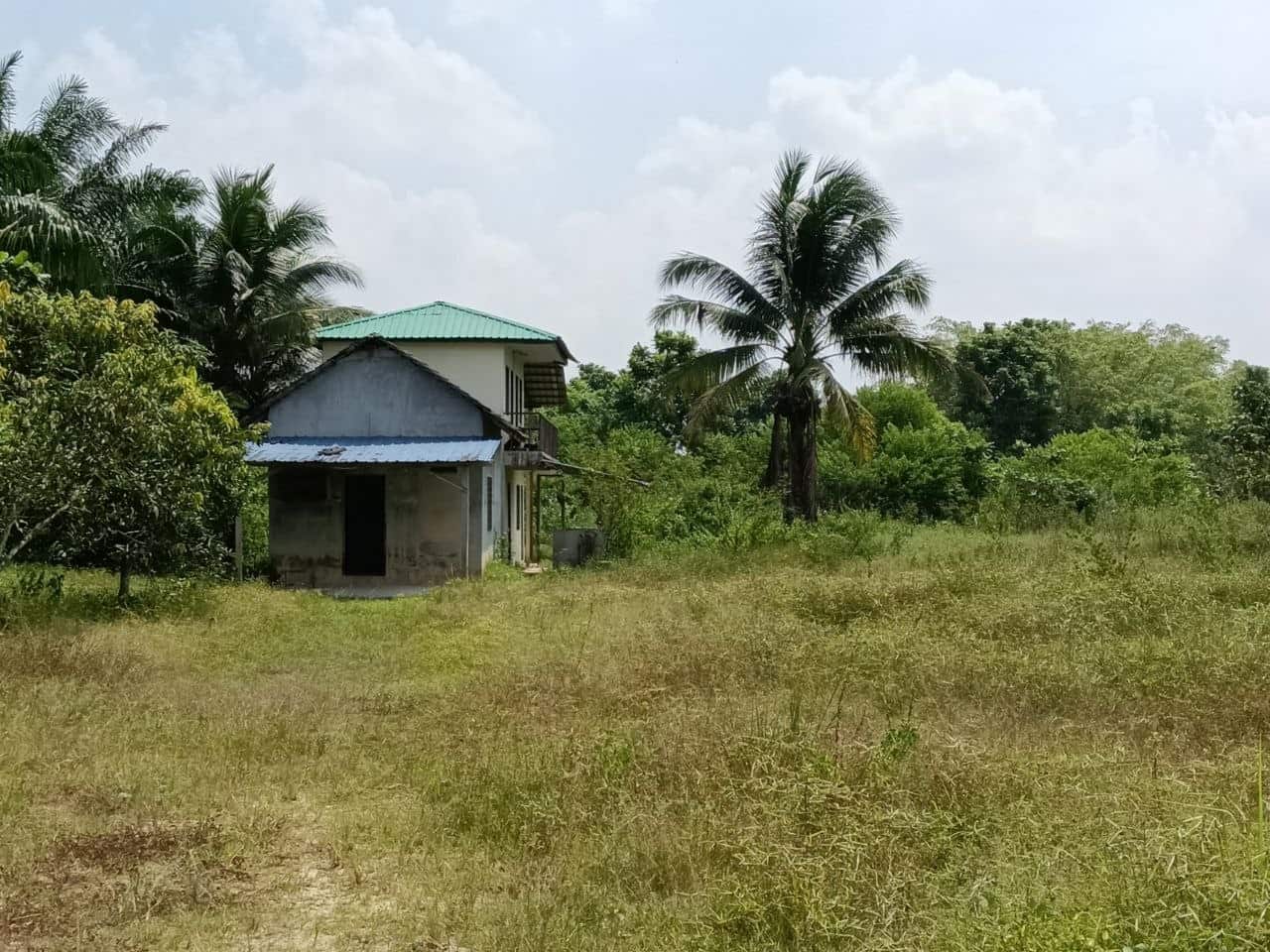 Agriculture Land Sungai Tiram 2