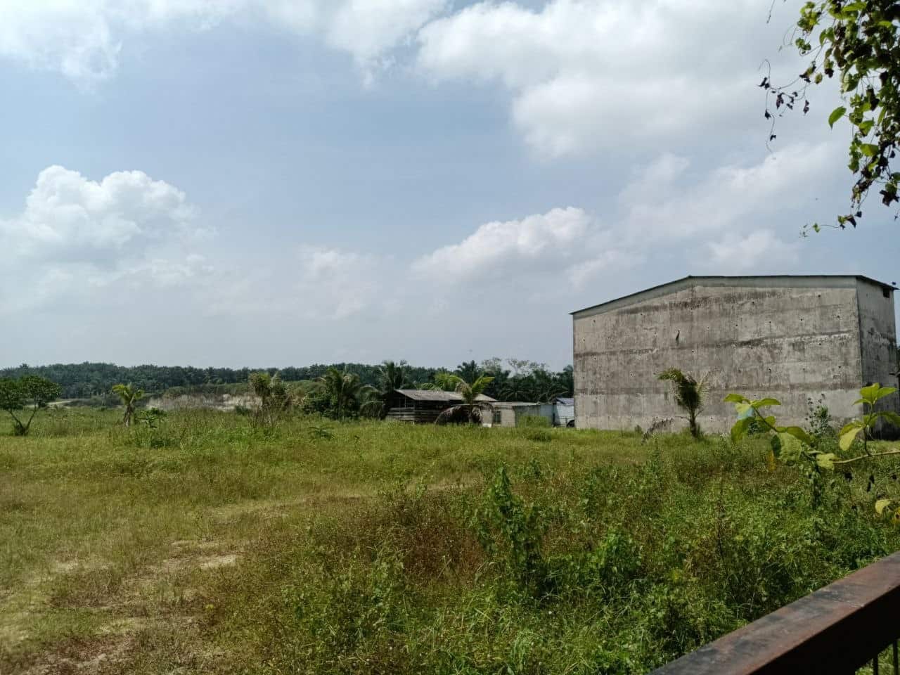 Agriculture Land Sungai Tiram 7