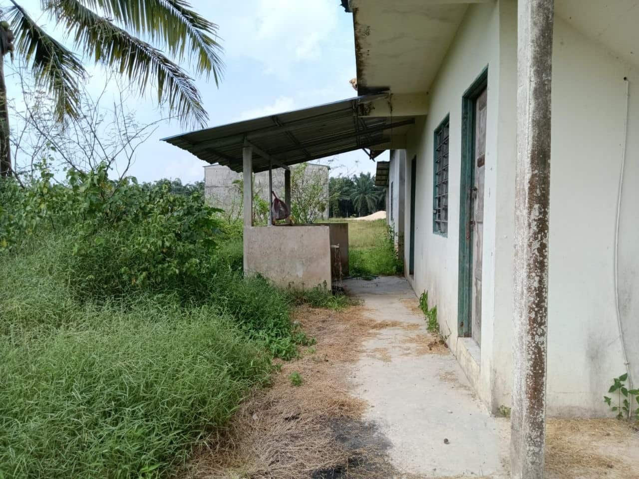 Agriculture Land Sungai Tiram 11