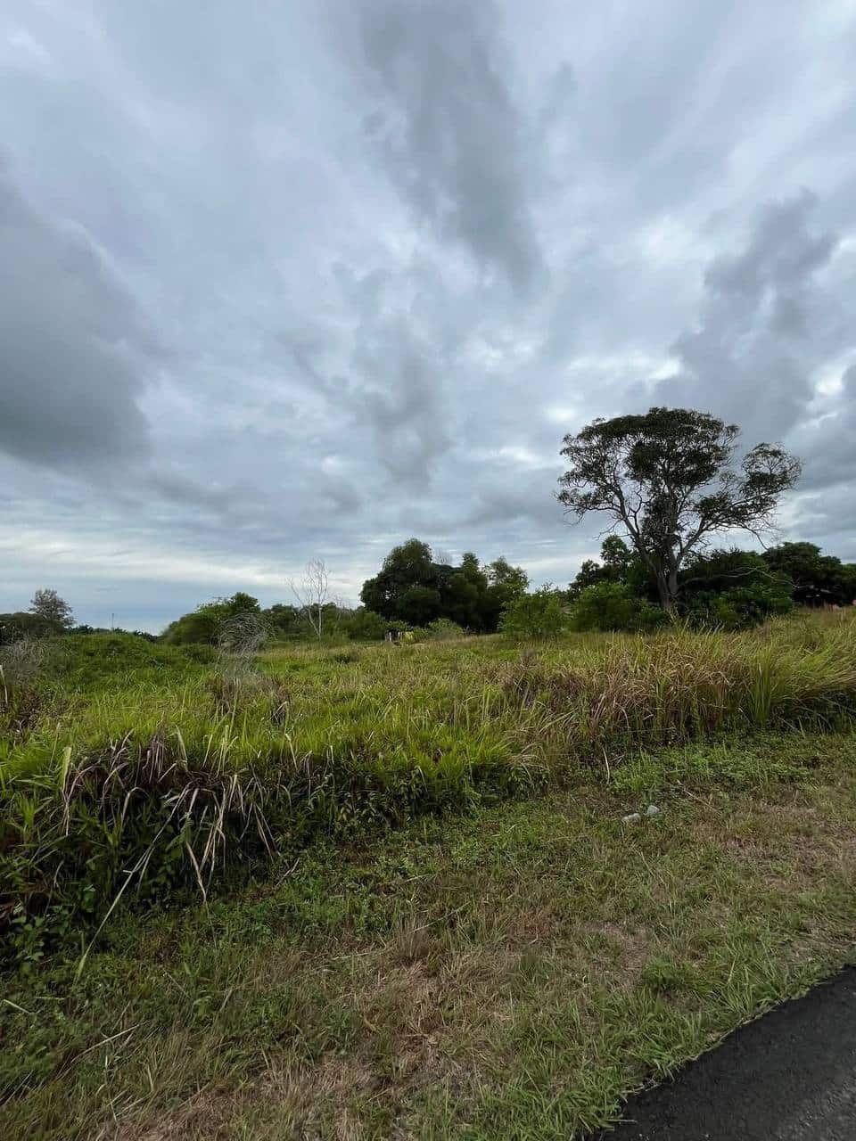 🌊 Pengerang Seaside Commercial Land for Sale (SL30… 3